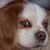 Kacie Bella's profile image