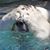 Debra Rabey's profile image