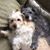 Kathryn Stuckey's profile image
