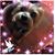 Adriana Vargas's profile image