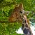 Nancy E McNulty's profile image