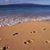 Patricia Cisler's profile image