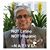 Juan M. Soliz's profile image
