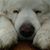 Julie Hoyt's profile image