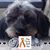 Jane Payne Matlock's profile image