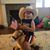 Evan Huseman's profile image