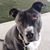 Valerie Rega Rhodes's profile image