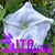 Sue Placek Brown's profile image