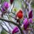 Annell Nellie Nagy's profile image