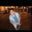 B Gutierrez's profile image