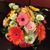 Jacquel Elias's profile image