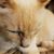 Patti Whittemore Lee's profile image