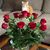 AnnMarie Pugens's profile image