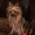 Lura Todd Lee's profile image