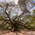 Pat Branham Grice's profile image