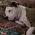 Jody Tarwid's profile image