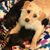 Heather Wooten's profile image
