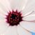 Lisa M. Sterner's profile image