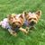 Christy Lohr's profile image