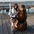 Susan Meyer's profile image