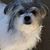 Lyzette Ibarra's profile image