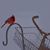 Teisha Trucksis Winkler's profile image