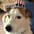 Mike Bornman's profile image
