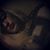 Lola Mae Tanquary's profile image