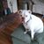 Mary Riley's profile image