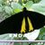 Deb Holl's profile image