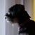 Becky Benson Raynor's profile image