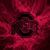 Kathy Baxter Dyer's profile image