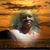 Annette Parks's profile image