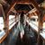 Amanda Leigh Bacala's profile image