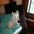Jo Swanston's profile image