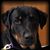 Ede MacLeod's profile image