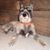 Donna Jean's profile image