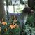 Gail Burns's profile image