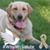 Suzette Trenda's profile image