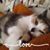 Luann Duchess's profile image