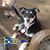 Judy Jones's profile image