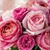 Linda Capretta- Larsen's profile image