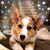Gail McNally's profile image