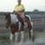 Martha Vinson's profile image