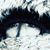 Kimberly Morgan's profile image