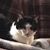 Cecelia Jenkins Pye's profile image