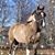 Plumb Stephani's profile image
