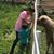 Annette DeLude's profile image