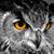 Jennifer Lucas's profile image