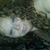 Jessica Fulcher's profile image
